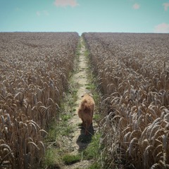 I Was Meant For You (Demo version)