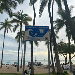 hammock (racksman888, c4rlinhxs & jotavaulted)