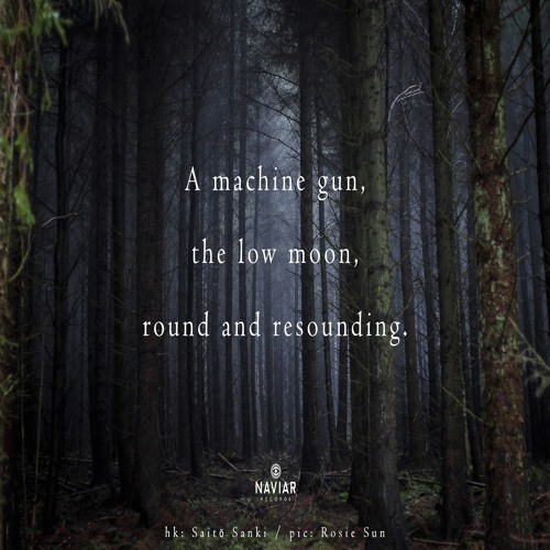 halF resoundinG [naviarhaiku418]