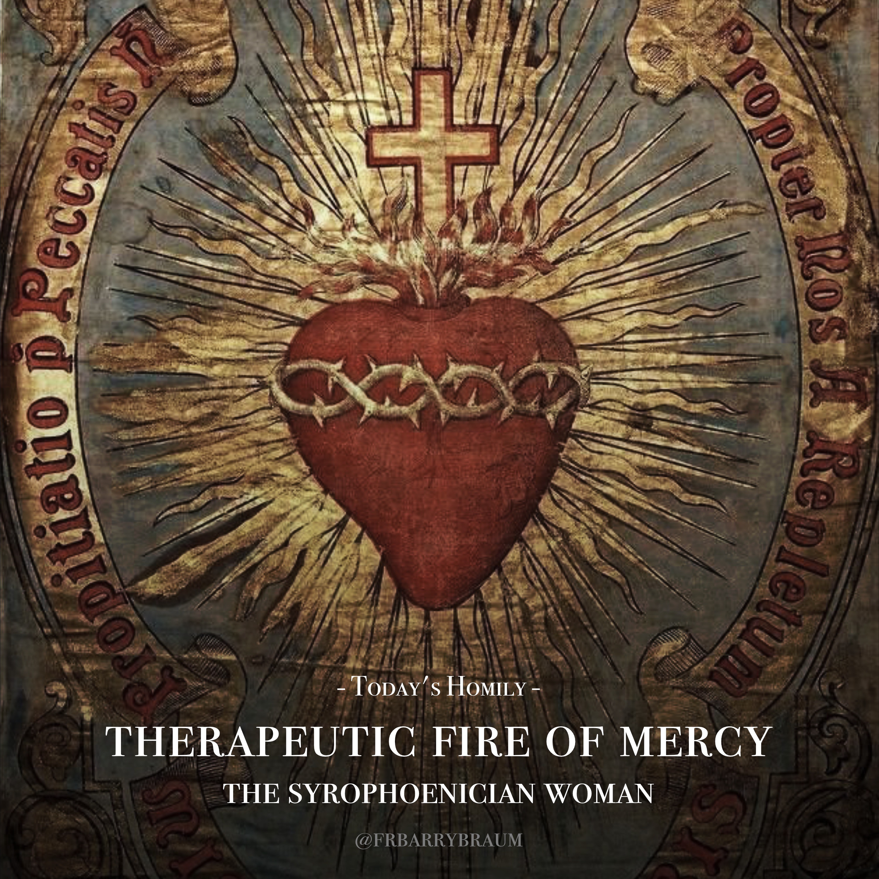 Fr. Barry Braum - Homilies and Conferences