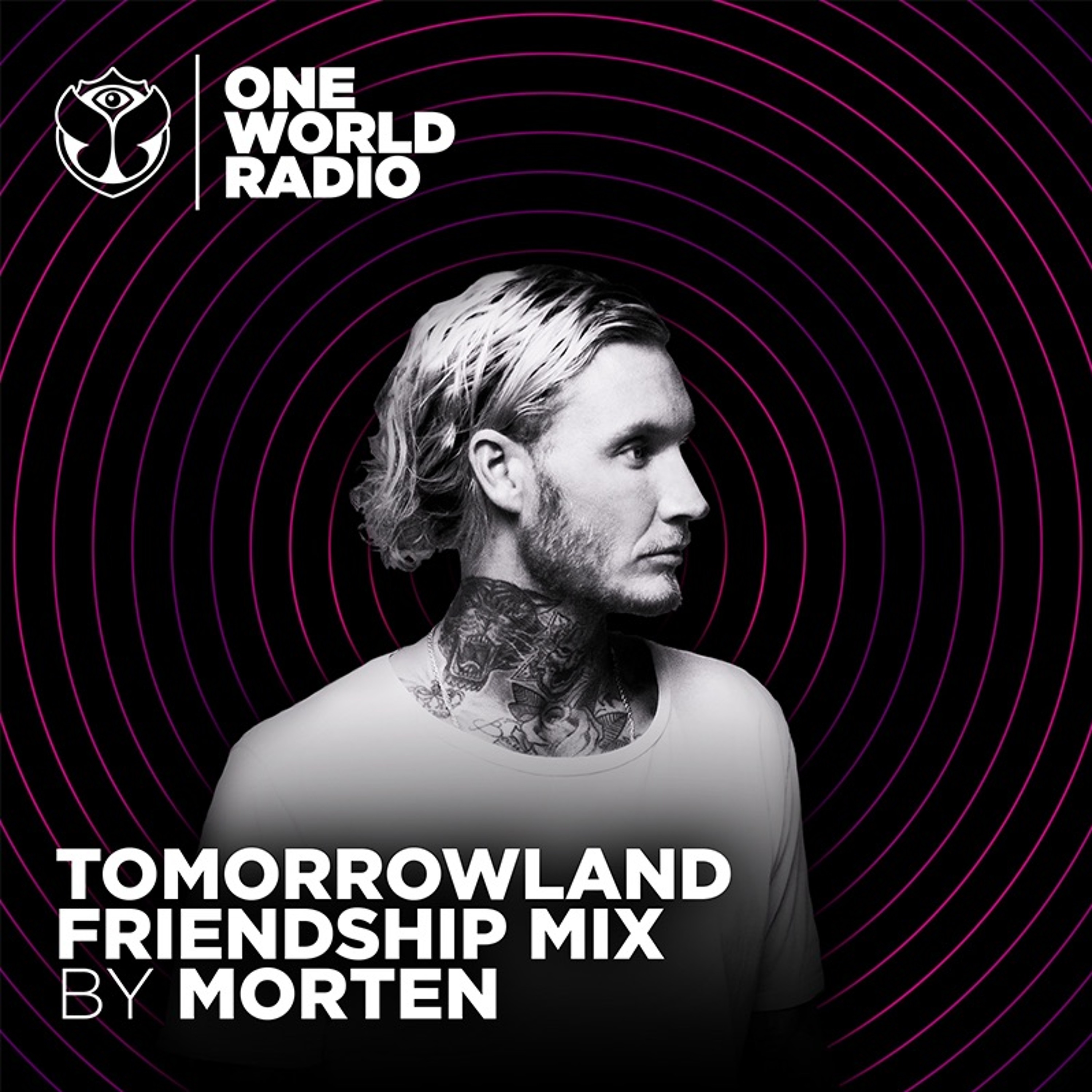 Tomorrowland Friendship Mix