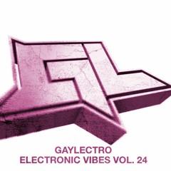 GAYLECTRO - ELECTRONIC VIBES VOL. 24