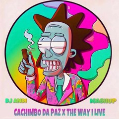 Cachimbo Da Paz X The Way I Live (ANDI MASHUP)