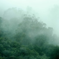 Blocked Escape Route