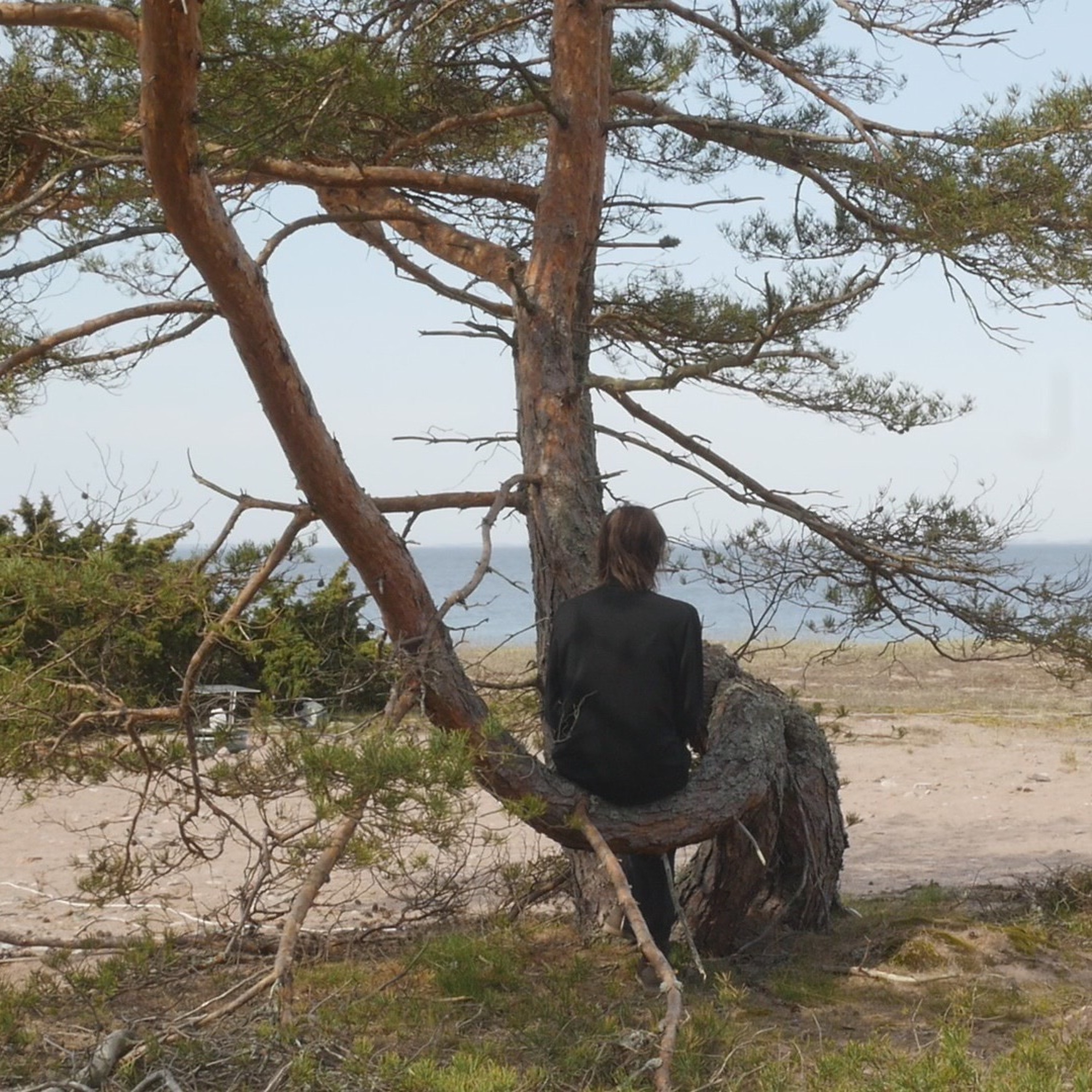 Talar med träd - 3 episode artwork