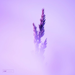 Iskarelyn - Tell Me Now