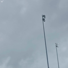 your brave little object