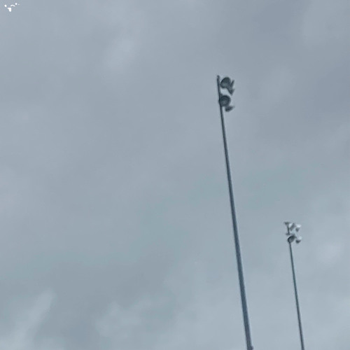 your brave little object