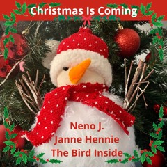 Christmas Is coming  W/ The Bird Inside & Neno J