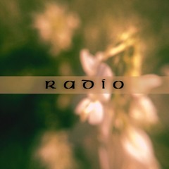 Radio Shows