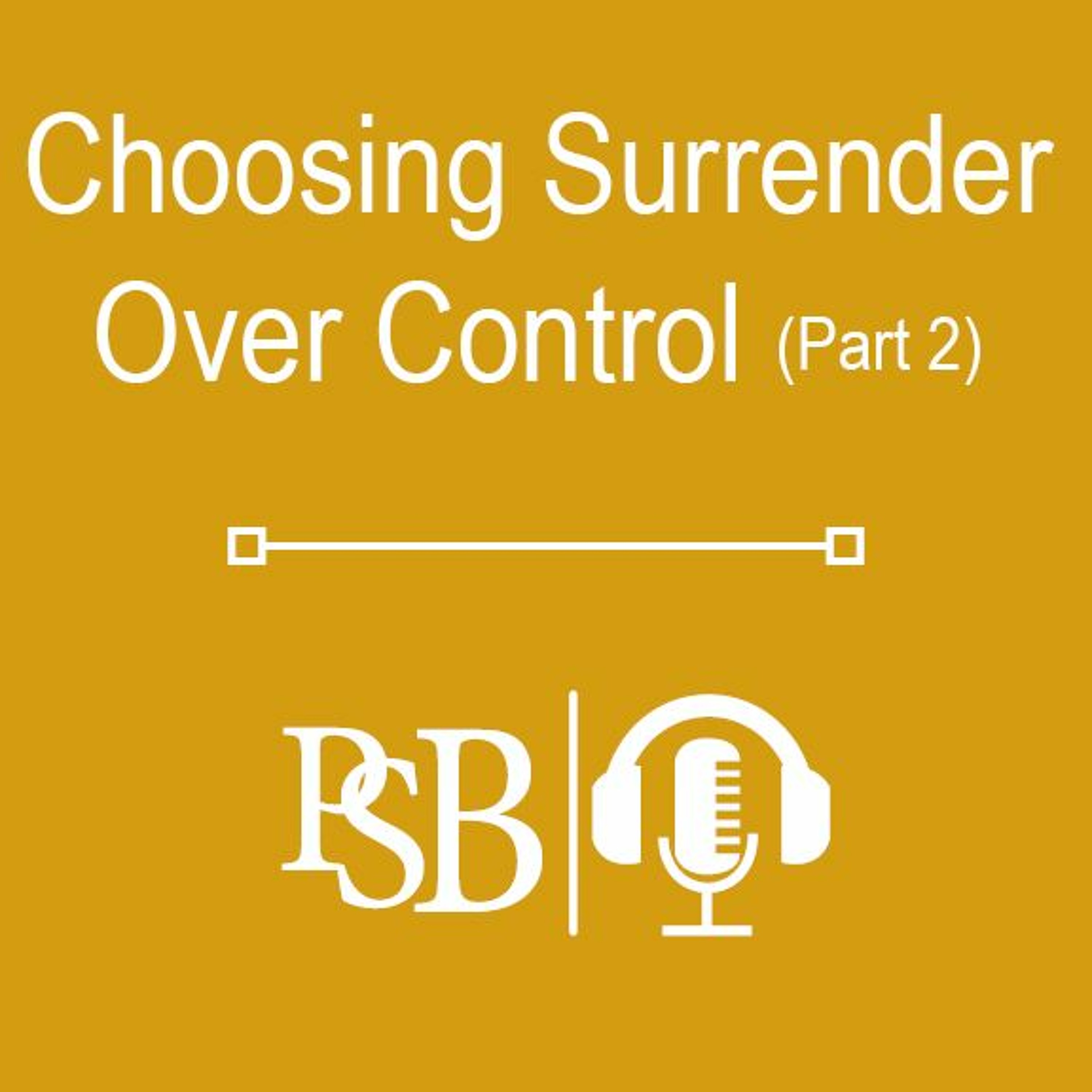 230 | Surrender Over Control: part 2 of 2 (with Brandon Young) episode artwork