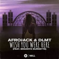 afrojack - wishing you were here (Mio Vallis Remix)