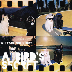 A BIRD´S SECRET