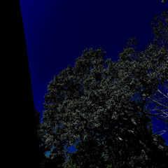 anemia_throwawayV2
