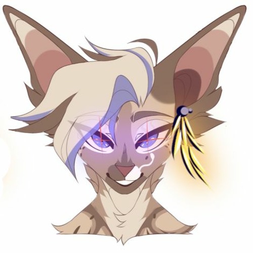 Cats and Starsdust! NIgiri Stardust DJ MIX