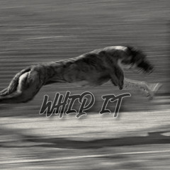 WHIP IT [FREE DL]