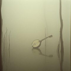 Grass Water