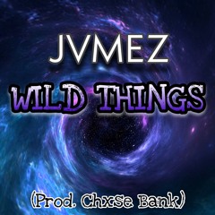 WILD THINGS Prod. Chxse Bank