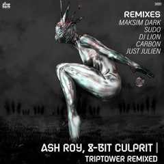 Ash Roy, 8 - Bit Culprit - Basidia (DJ Lion & Just Julien Remix) Soupherb