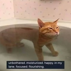 WEEK 116 - 20251214 gunky wunky