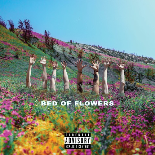 Bed of Flowers