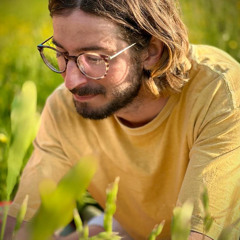 Mike Robertson, Founder of Sun Rider Press, on the Bleeding Edge of Independent Travel Book Publishing