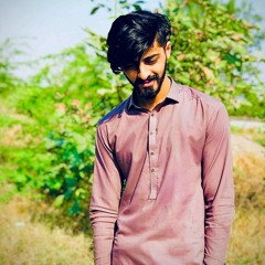 Aditya Rikhari - FAASLE