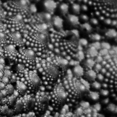 Alice Plays The Saxophone