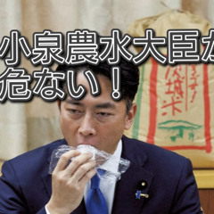 小泉進次郎農水相が危ない（8月７日）