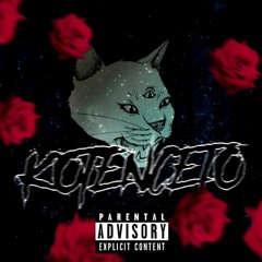 KOT - Kiki (kotenceto)