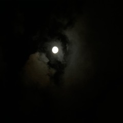 Look at the sky