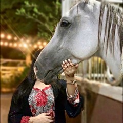 حامد سهيل - الفايق (حصرياً) _ 2023(MP3_160K).mp3