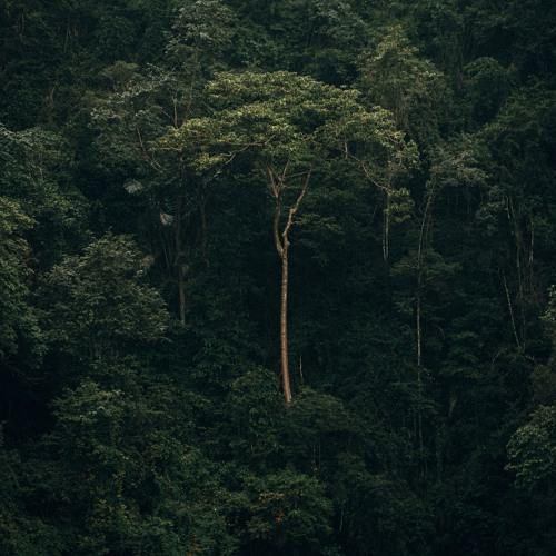 Deep Breakfast 280 ~ Pjenné