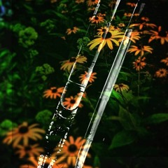 Torpedoes and Flowers