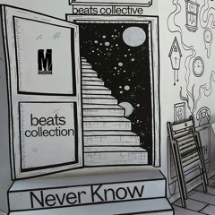 Beats Collective - Never Know (Original Mix)