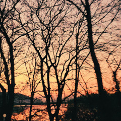 Goodbye,MaryJane.guide