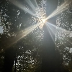 because you’re here now (emotional instagram reels got me like)