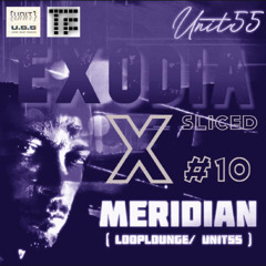 MERIDIAN - EXODIA X_sliced_10