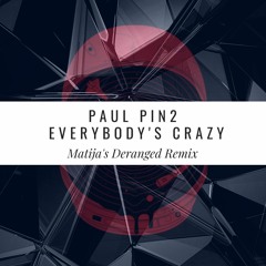 Paul Pin2 - Everybody's Crazy (Matija's Deranged Remix)