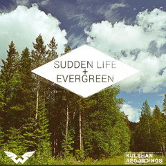Sudden Life (Original Mix)