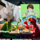 on RPReplay_Final1712372095.mp3