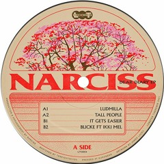 PREMIERE: Narciss - It Gets Easier [LT083]