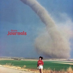 storm journals [OUT ON ALL PLATS]