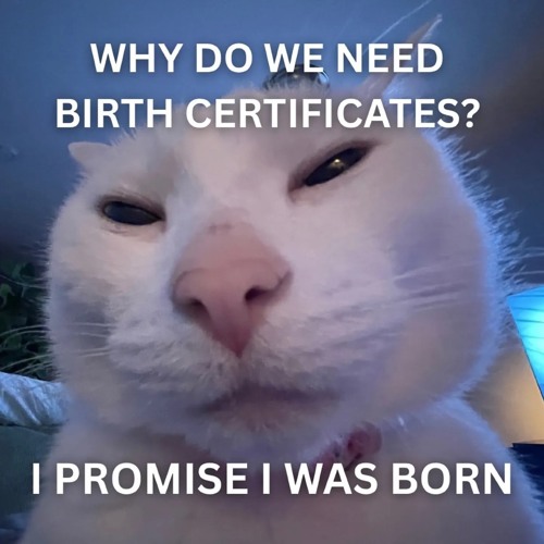 Hiraku Corhythmia Megamix | Mix #5