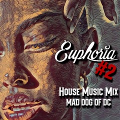 EUPHORIA #2 - House Music Mix!