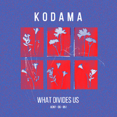 Kodama & Acid_Lab - H.S.T