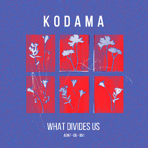 Kodama - Invisible Images