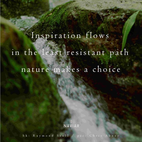 The Endless Happy-Sad Stream(NaviarHaiku349)