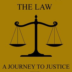 Intro - Mental Illness in the Law: A Journey to Justice