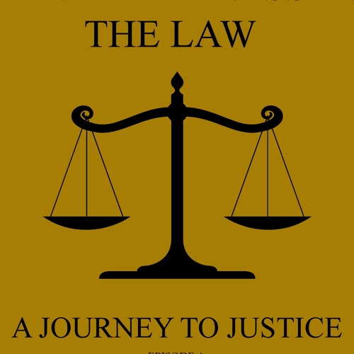 Intro - Mental Illness in the Law: A Journey to Justice